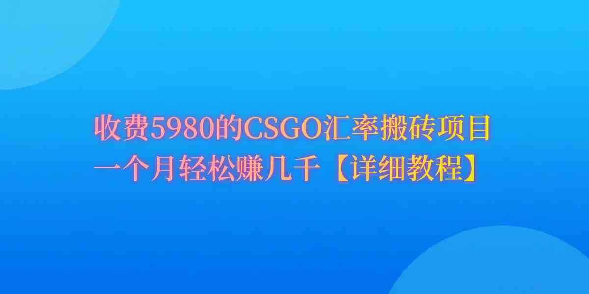 （9776期）CSGO装备搬砖，月综合收益率高达60%，你也可以！-铜乾网络