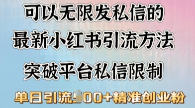 最新“摆烂式”引流打法，小红书私信引流，单天引流100+-铜乾网络