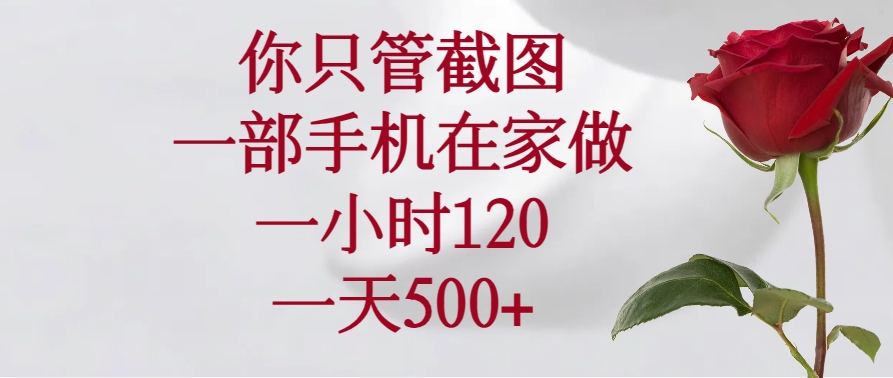 （14248期）你只管截图，一部手机在家做，一小时120，一天500+-铜乾网络