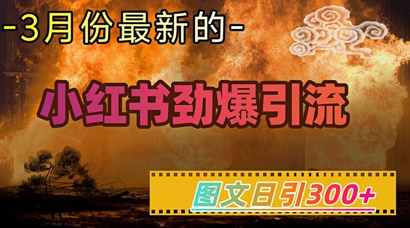 小红书超劲爆引流手段，图文日引300+轻松变现1W-铜乾网络