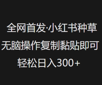 全网首发，小红书种草无脑操作，复制黏贴即可，轻松日入3张-铜乾网络