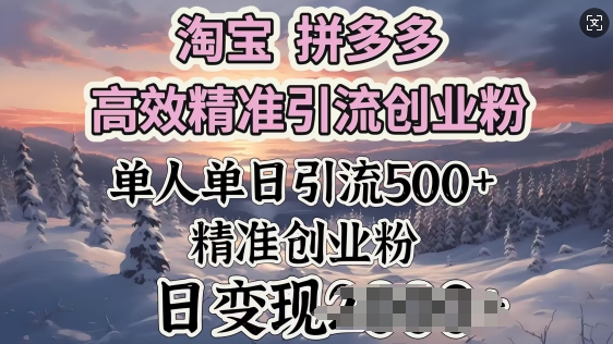 淘宝拼多多高效精准引流创业粉，单人单日引流500+创业粉，日变现多张-铜乾网络