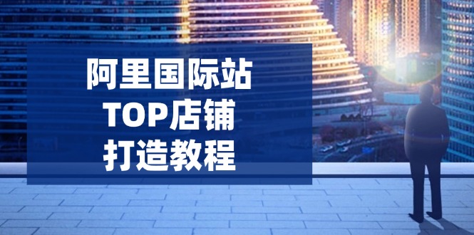 （14269期）阿里国际站TOP店铺打造教程：涵盖平台到高阶，解决运营难题，提升询盘-铜乾网络