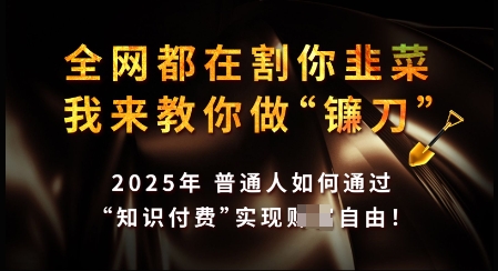 知识付费如何做到月入过W+，2025我来教你做“镰刀”【揭秘】-铜乾网络