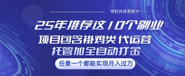 25年推荐这10个副业项目包含褂鸡类、代运营托管类、全自动打金类【揭秘】-铜乾网络