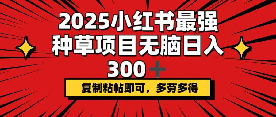 （14375期）2025小红书最强种草项目，无脑日入300+，复制粘帖即可，多劳多得-铜乾网络