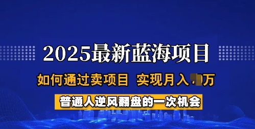2025蓝海项目，普通人如何通过卖项目，实现月入过W，全过程【揭秘】-铜乾网络