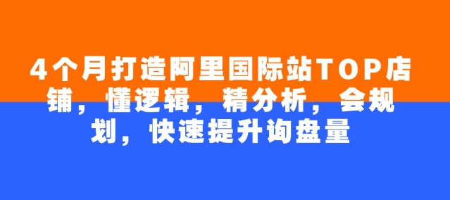 4个月打造阿里国际站TOP店铺，懂逻辑，精分析，会规划，快速提升询盘量-铜乾网络