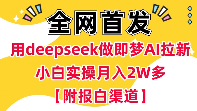 用deepseek做即梦Ai拉新 小白实操月入过W+【附报白渠道】-铜乾网络