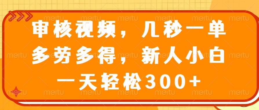 （14294期）审核视频，几秒一单，多劳多得，新人小白一天轻松300+-铜乾网络