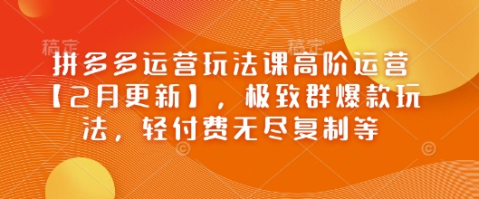 拼多多运营玩法课高阶运营【2月更新】，极致群爆款玩法，轻付费无尽复制等-铜乾网络