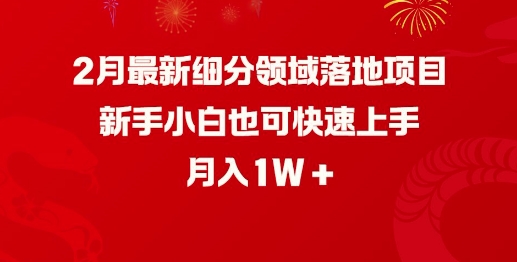 2月最新细分领域落地项目，新手小白也可快速上手，月入1W-铜乾网络