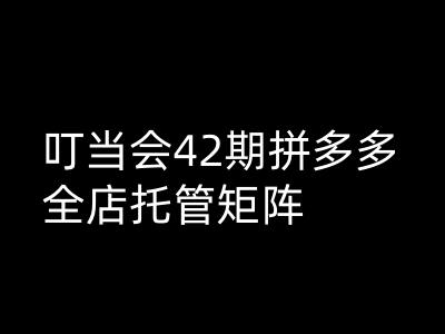 叮当会拼多多打爆班原创高阶技术第42期，拼多多全店托管矩阵-铜乾网络